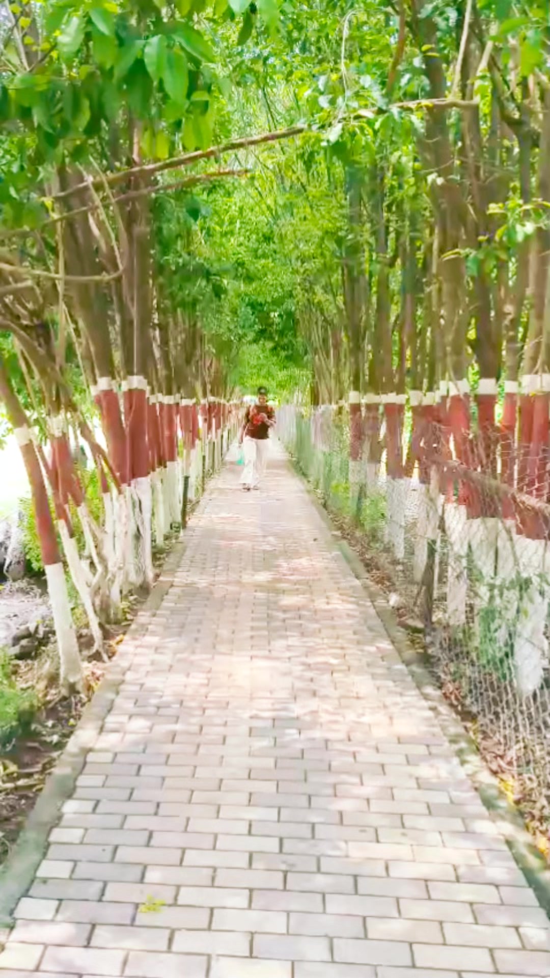 @रियानाको मम्मि👩👦