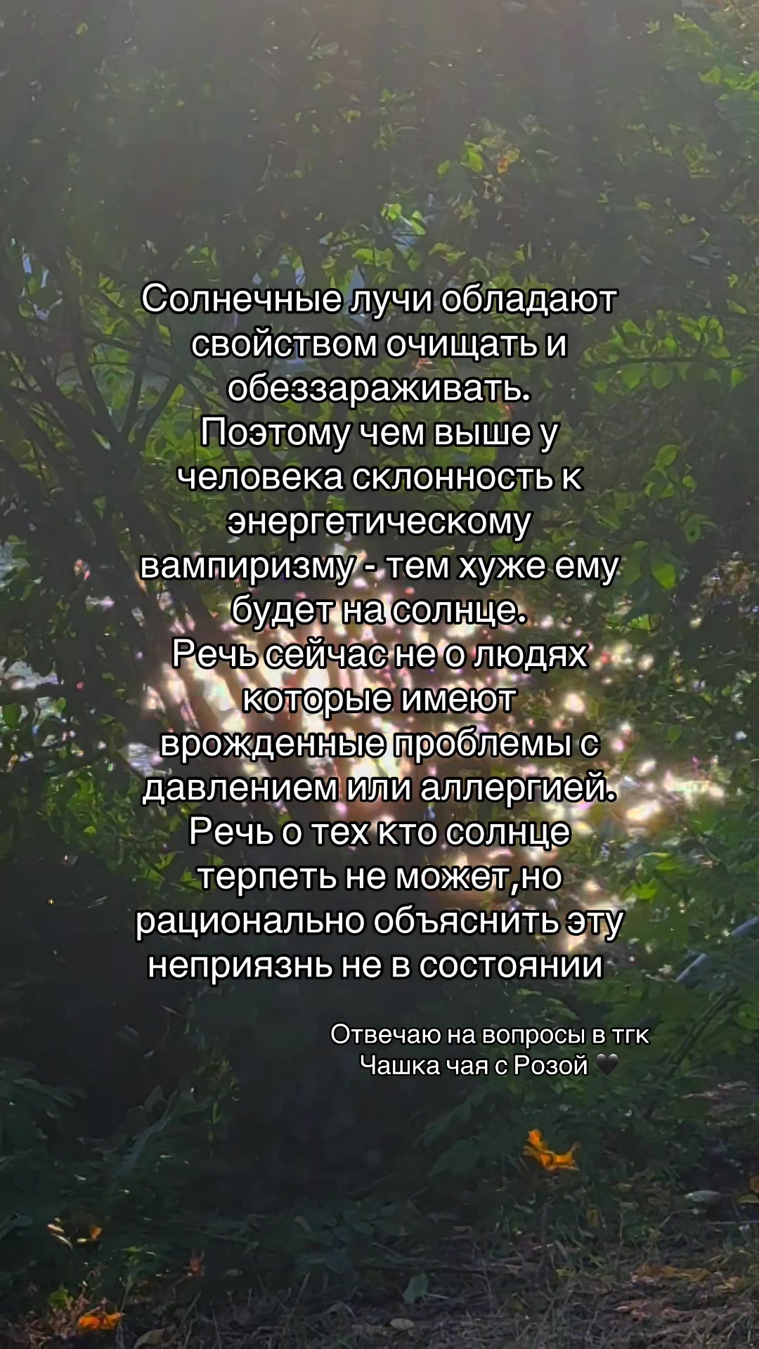 @🐉👁️ Гримуар Роуз 🩻🔮