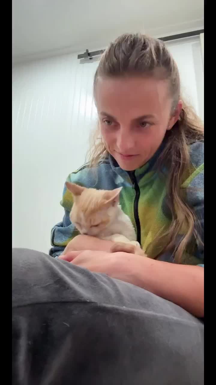 @Curlslux cattery!!🇺🇸