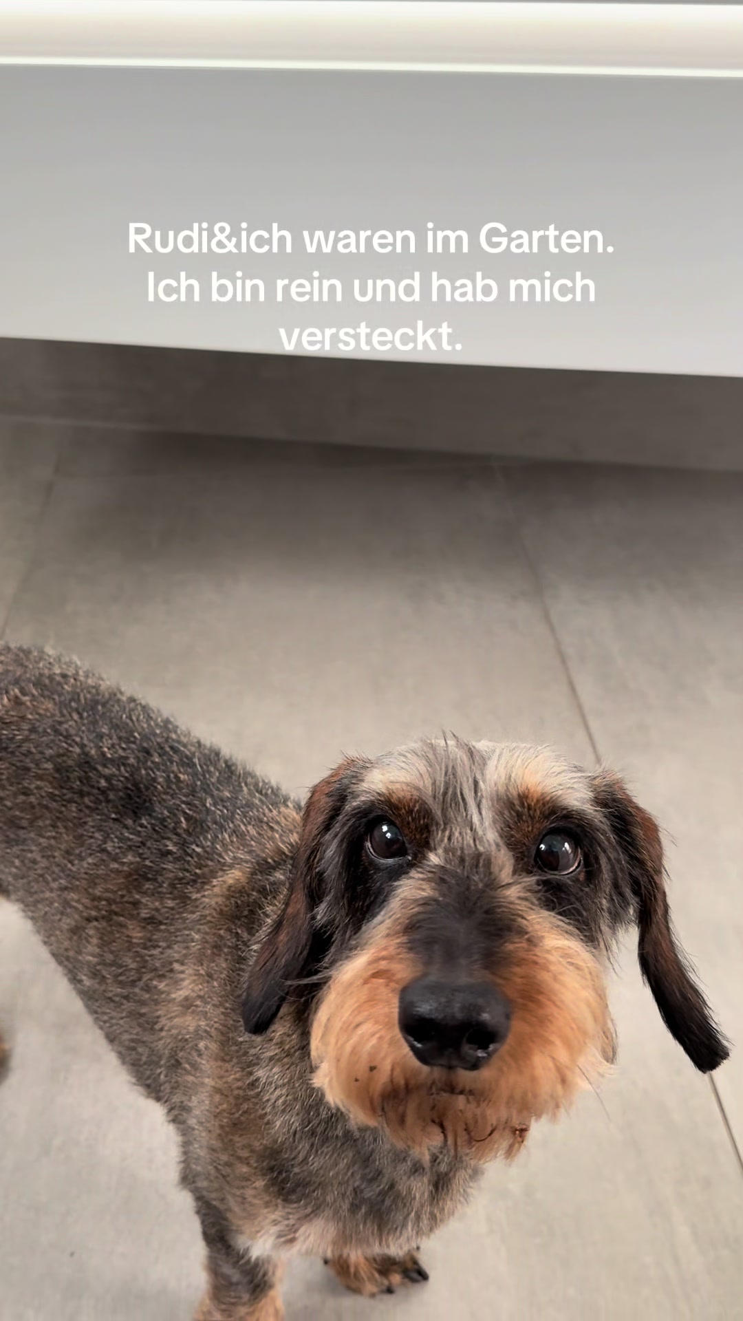 @Ichsch&uuml;tzekinderundtiere