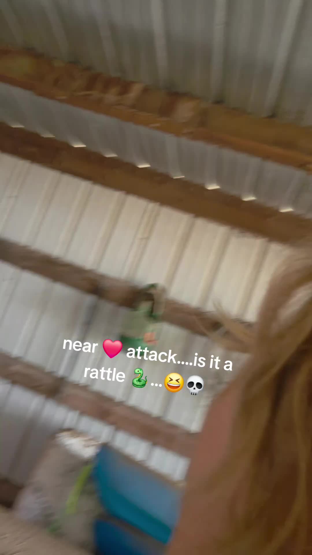 @Michelle Hunter LaTowsky 💎 🐎