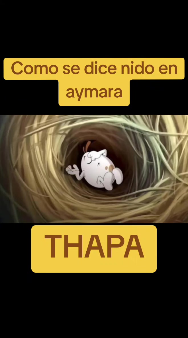 @Rosa Rosa