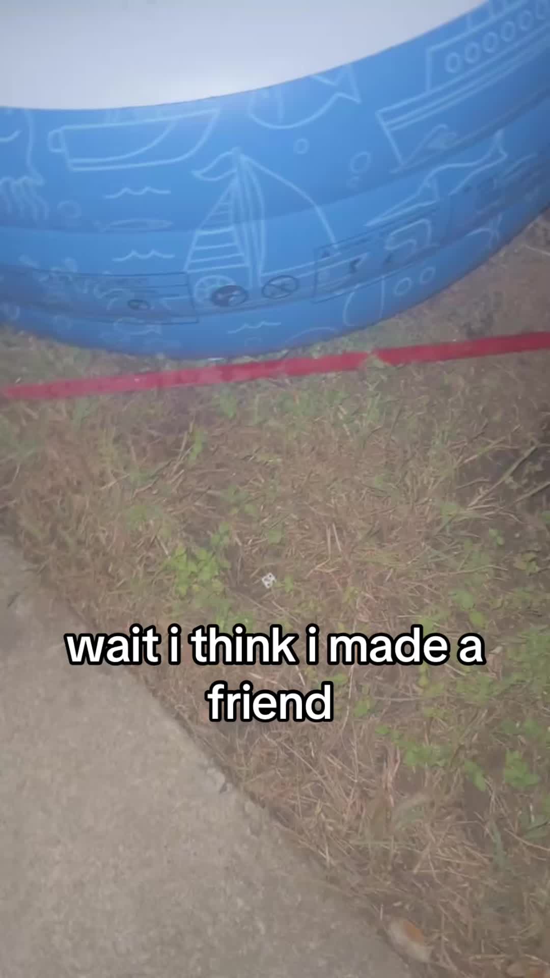 @🐡