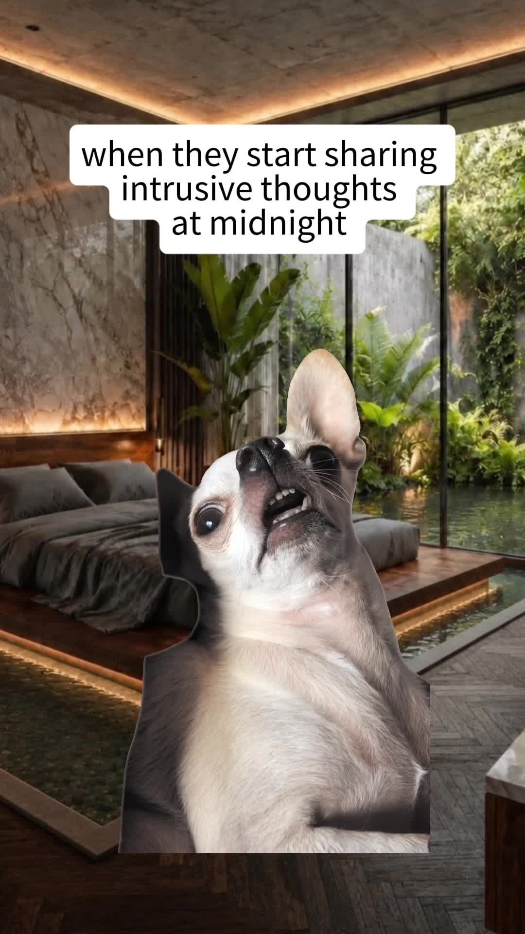 @TheBodyOwl.com