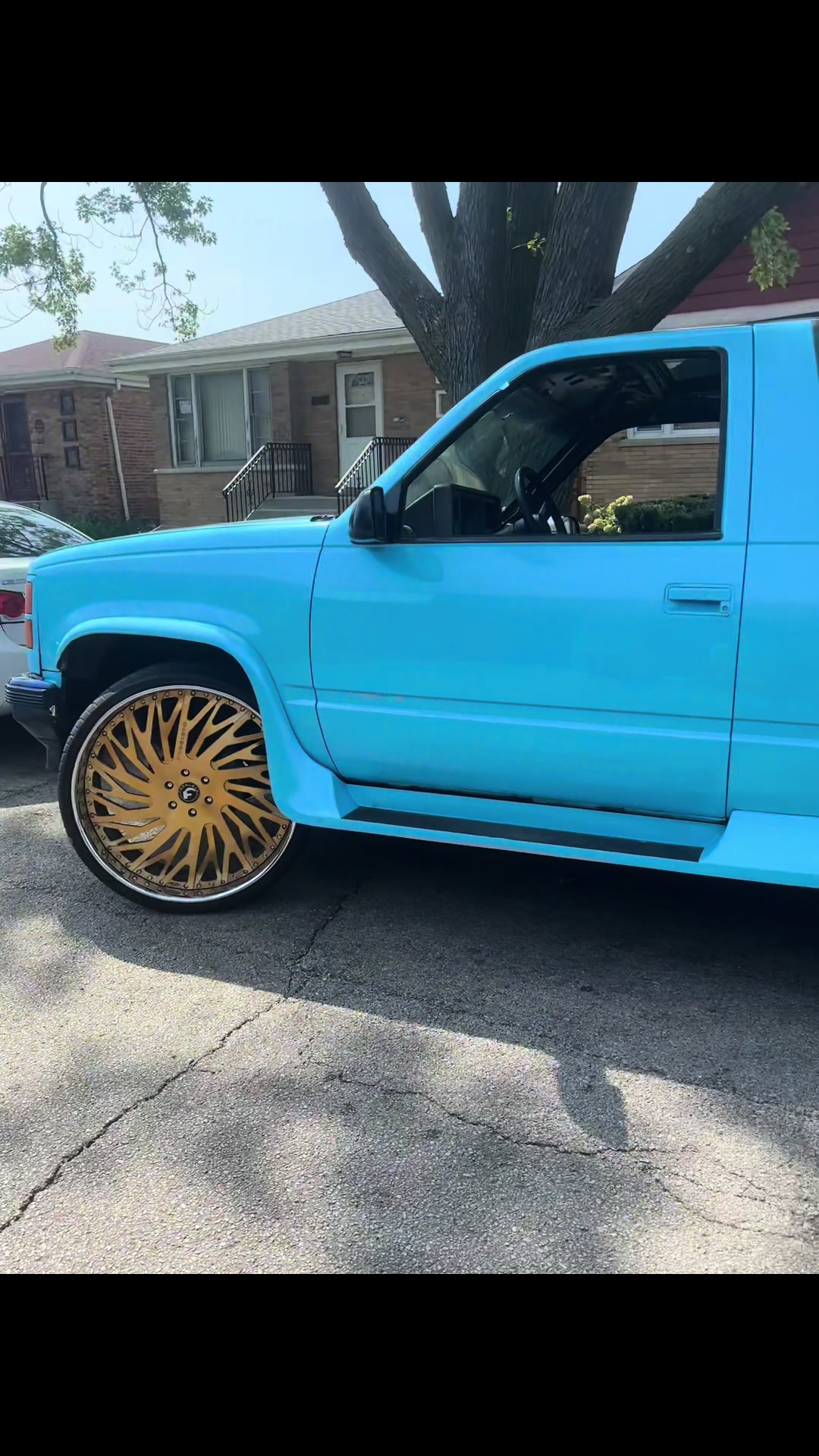@frost_mane_2300