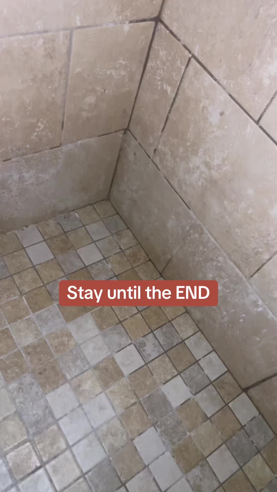 @Alexis ASÉ 🌀