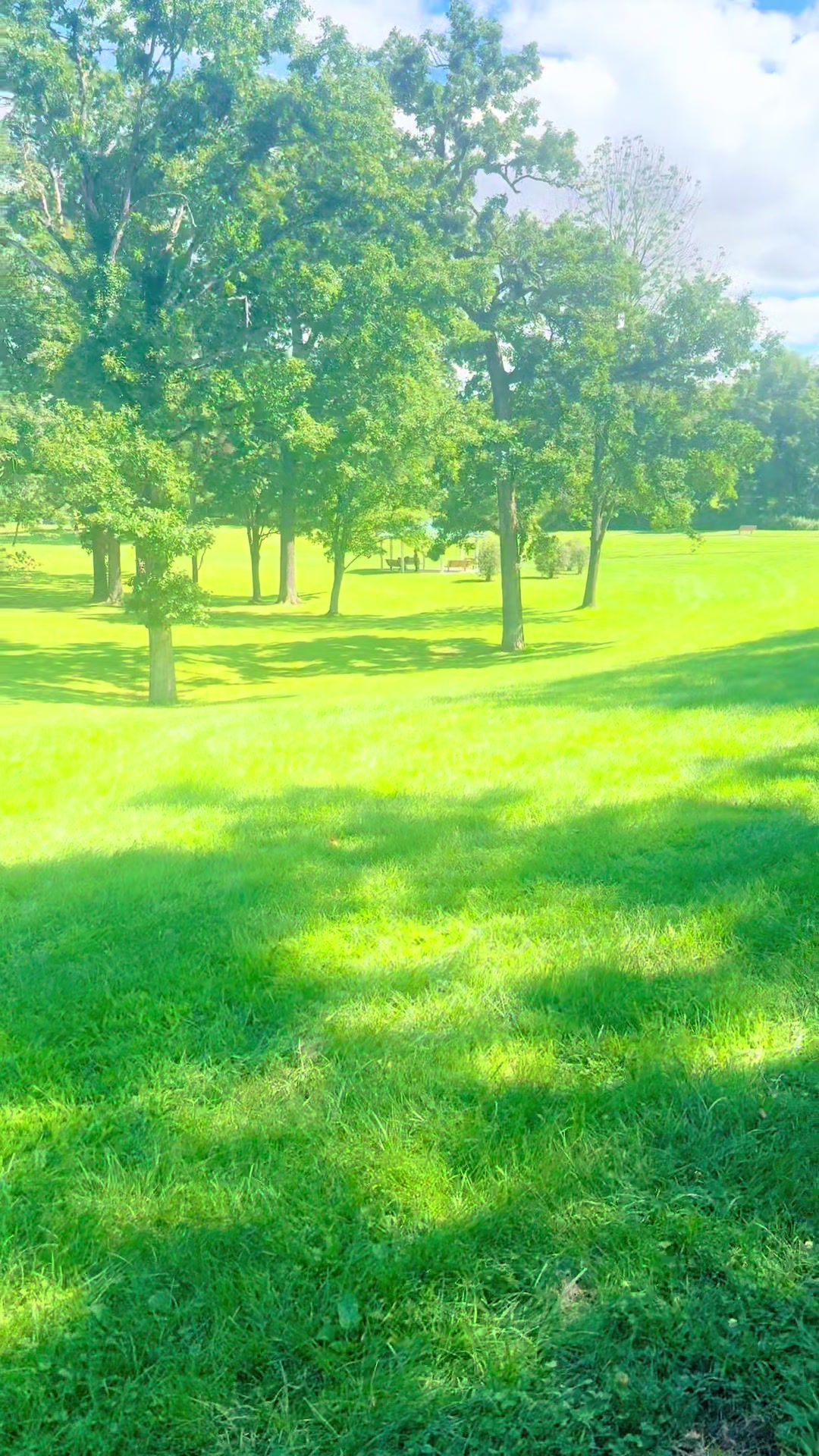 @Noryang