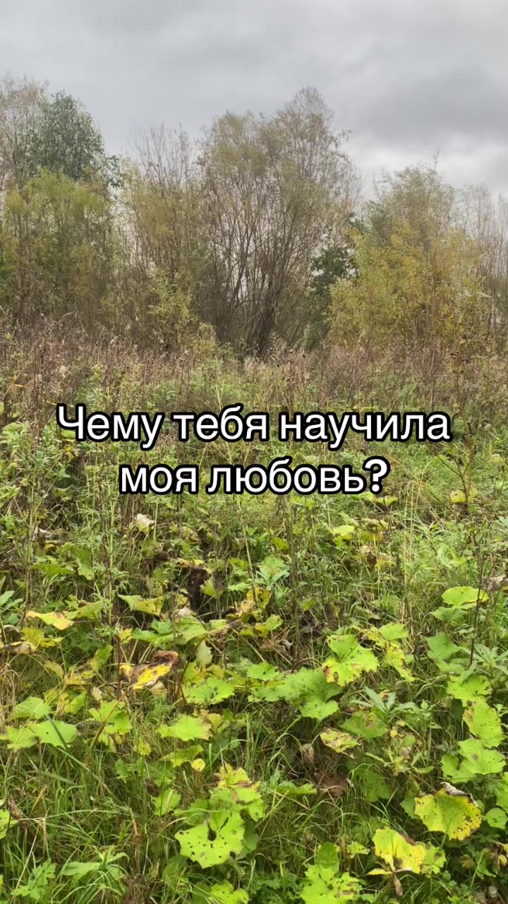 @Данил