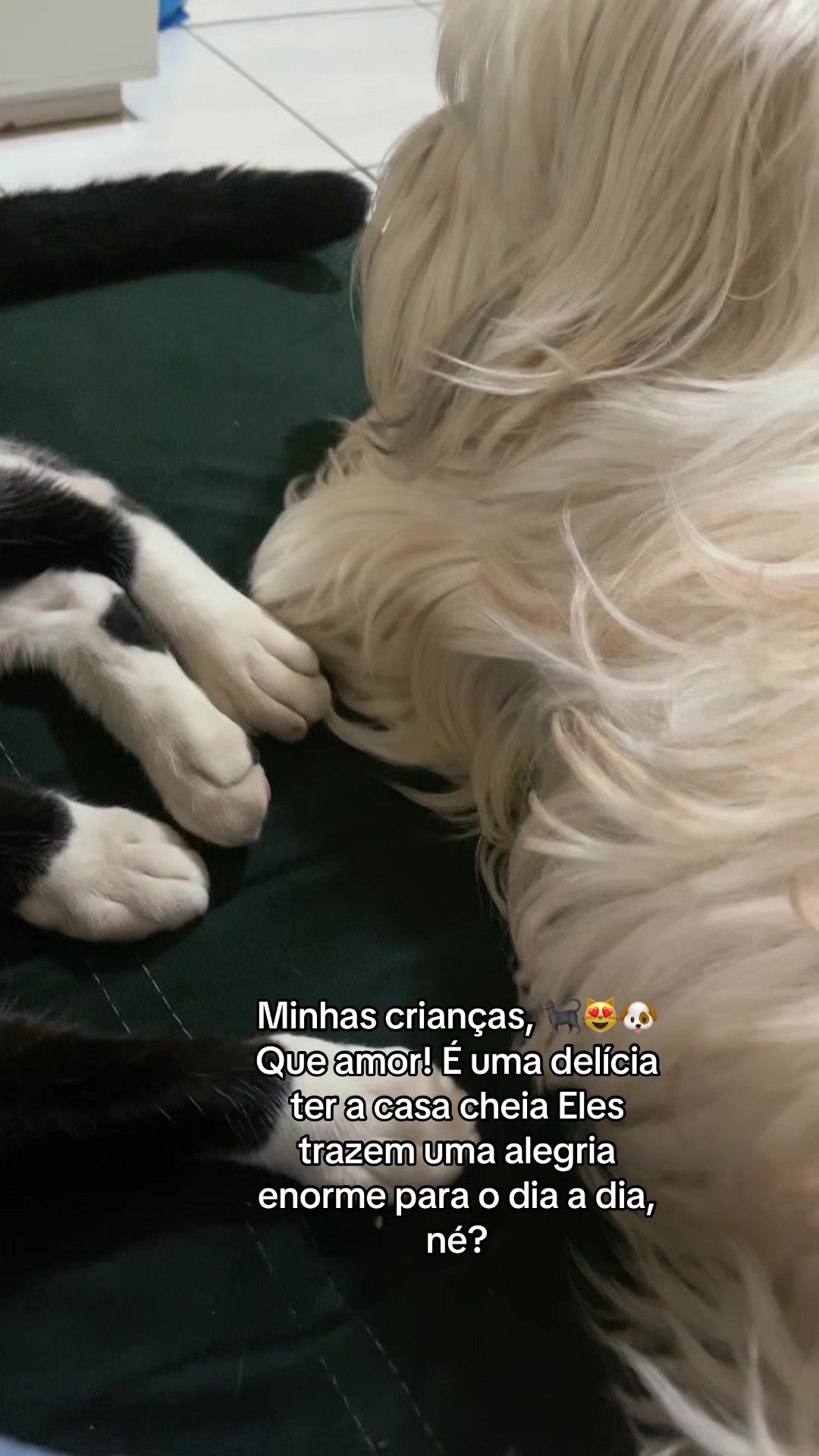 @Eva Aguiar