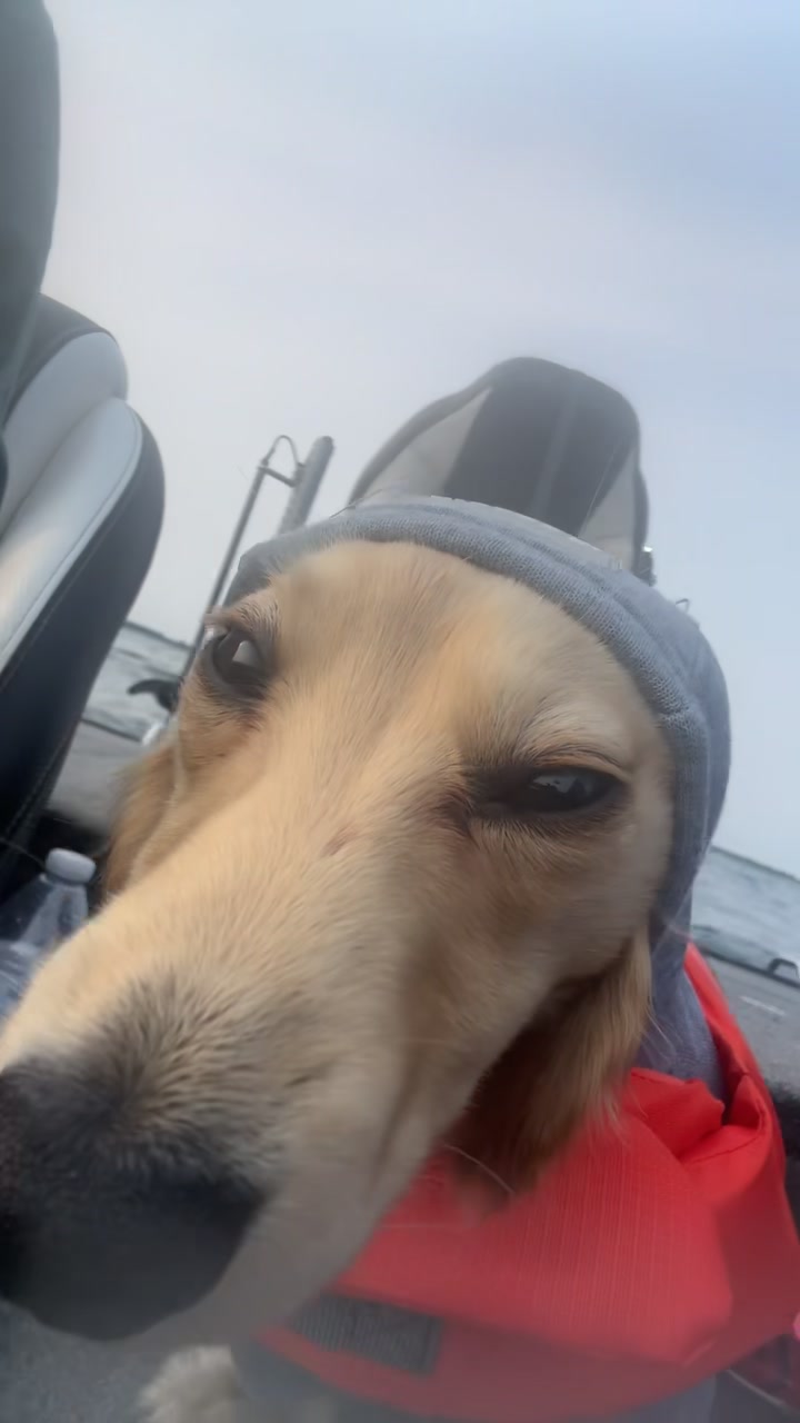 @braydenstokerfishing