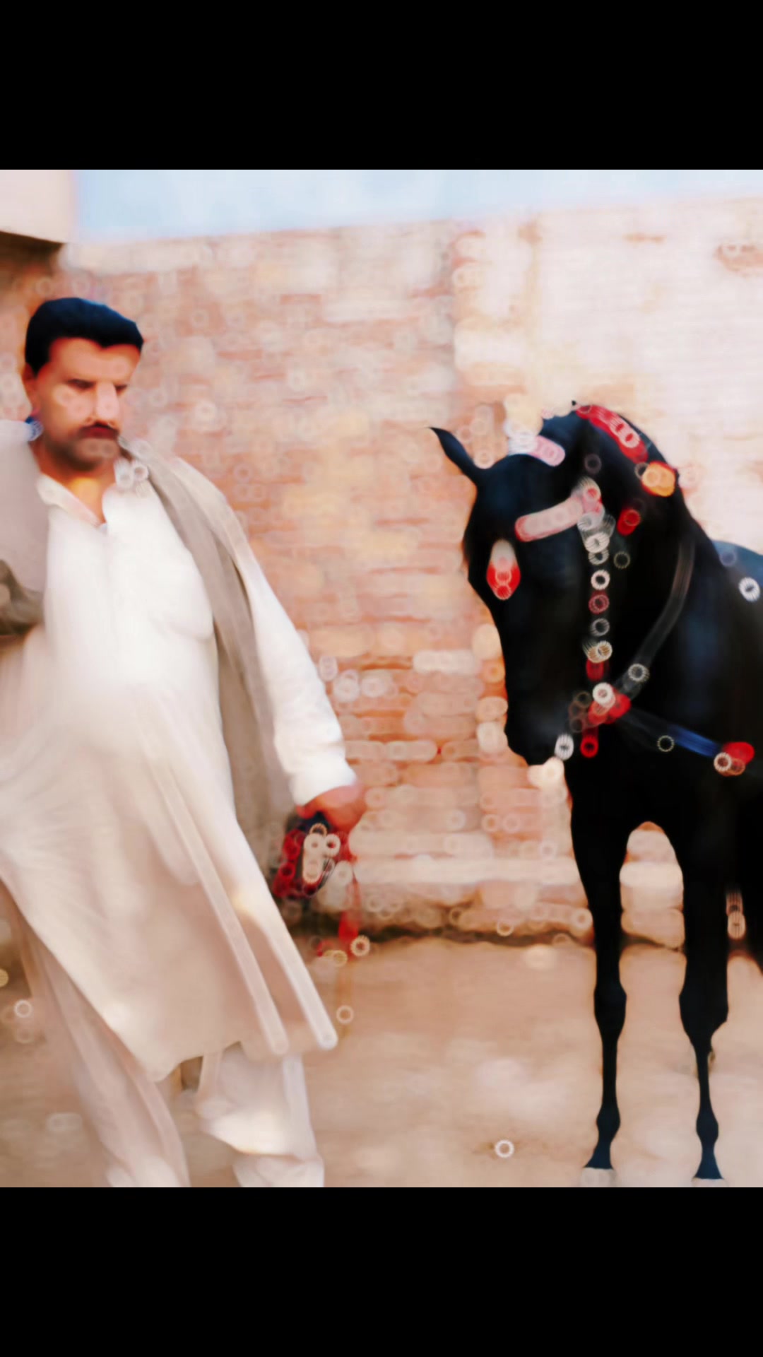 @SALMAN KHAN SKB