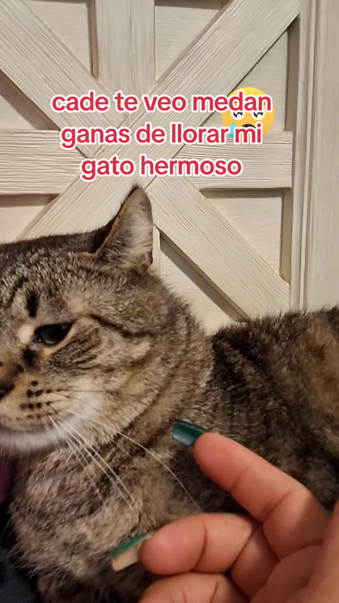@Mamagatera20