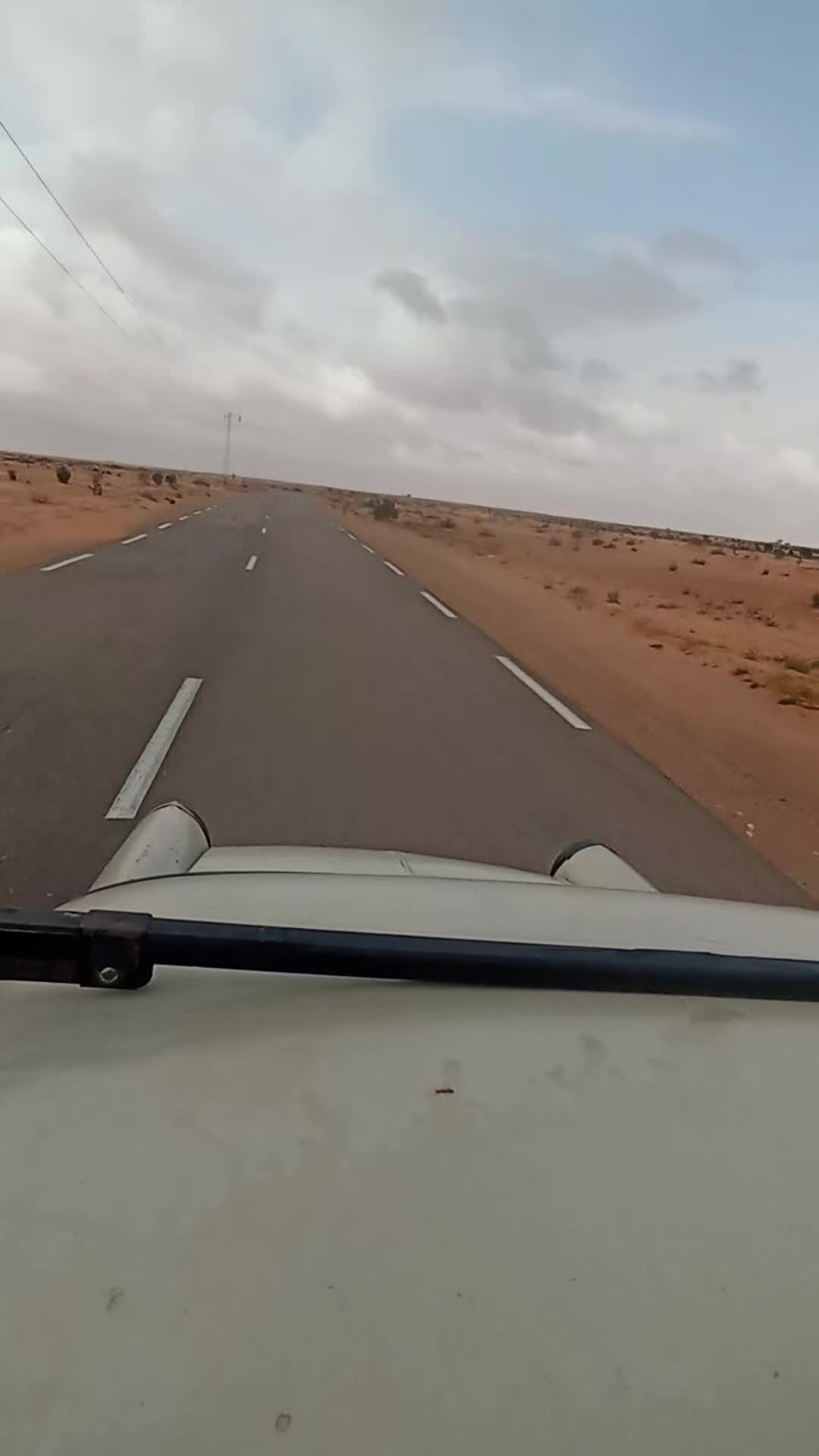 @أل معاند🕷️