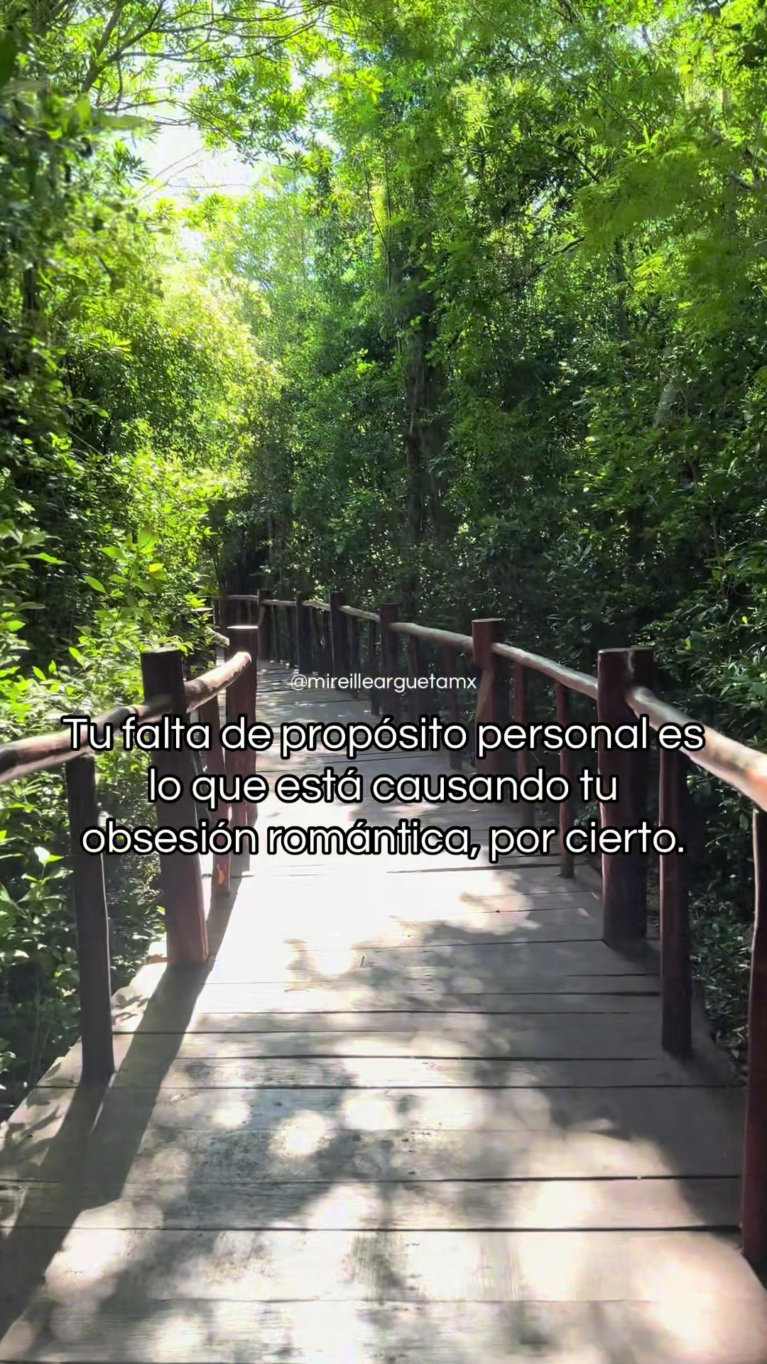 @Mireille Argueta