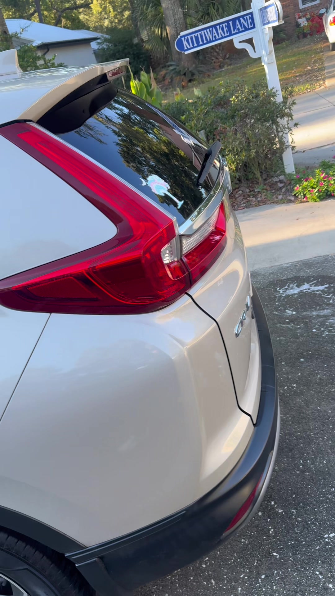 @Top&ensp;Dog&ensp;Detailing
