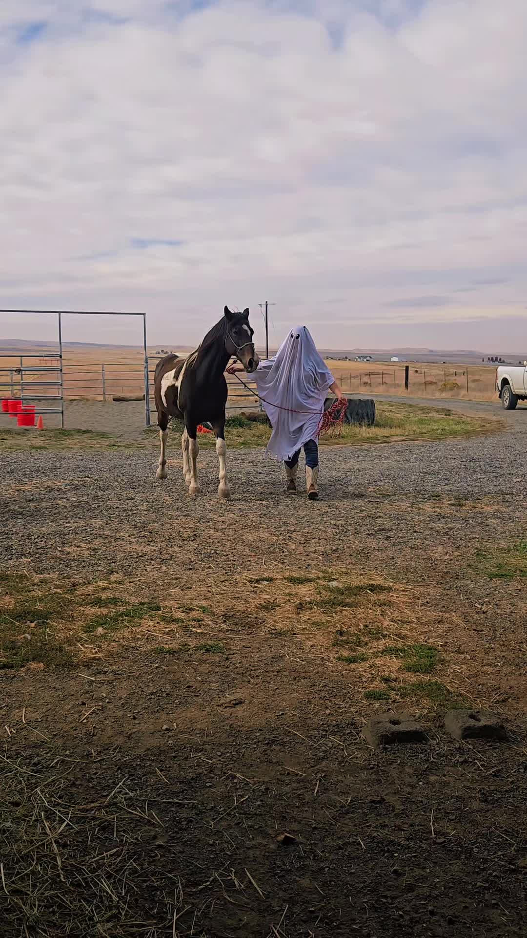 @Cowgirl Tuff Colt Training ❤️
