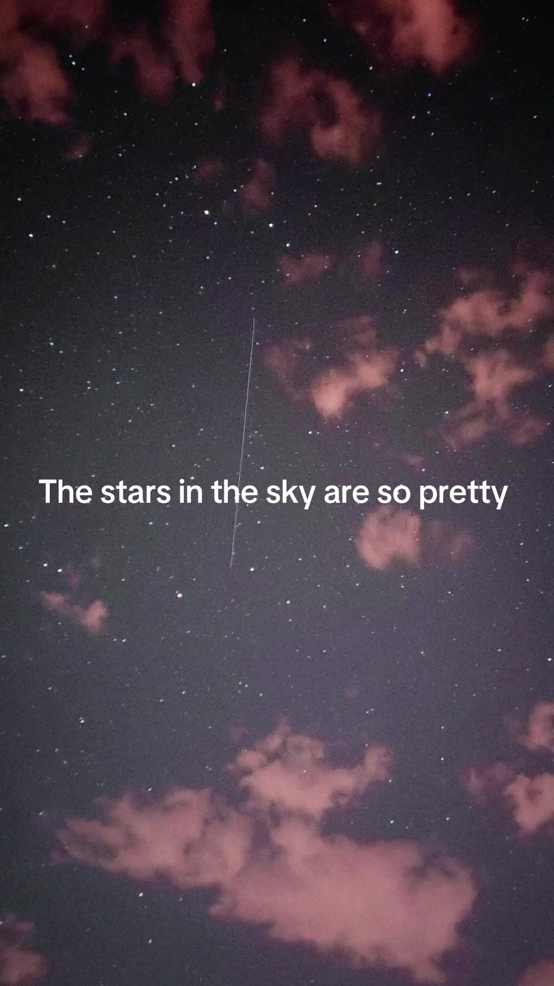 @Lexy&Kole❯❯❯❯❯🦋