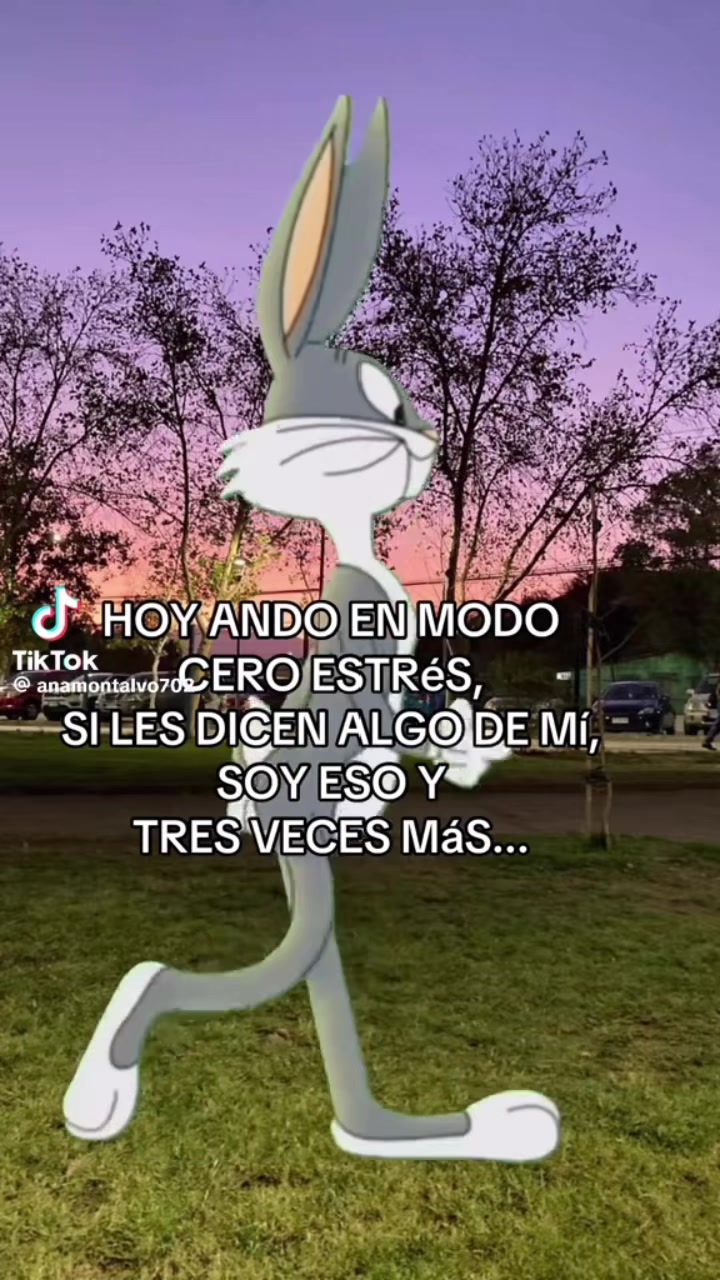 @antonia palomino