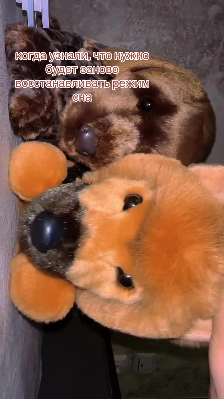 @КИРСИ!#PDB/ПДБ\