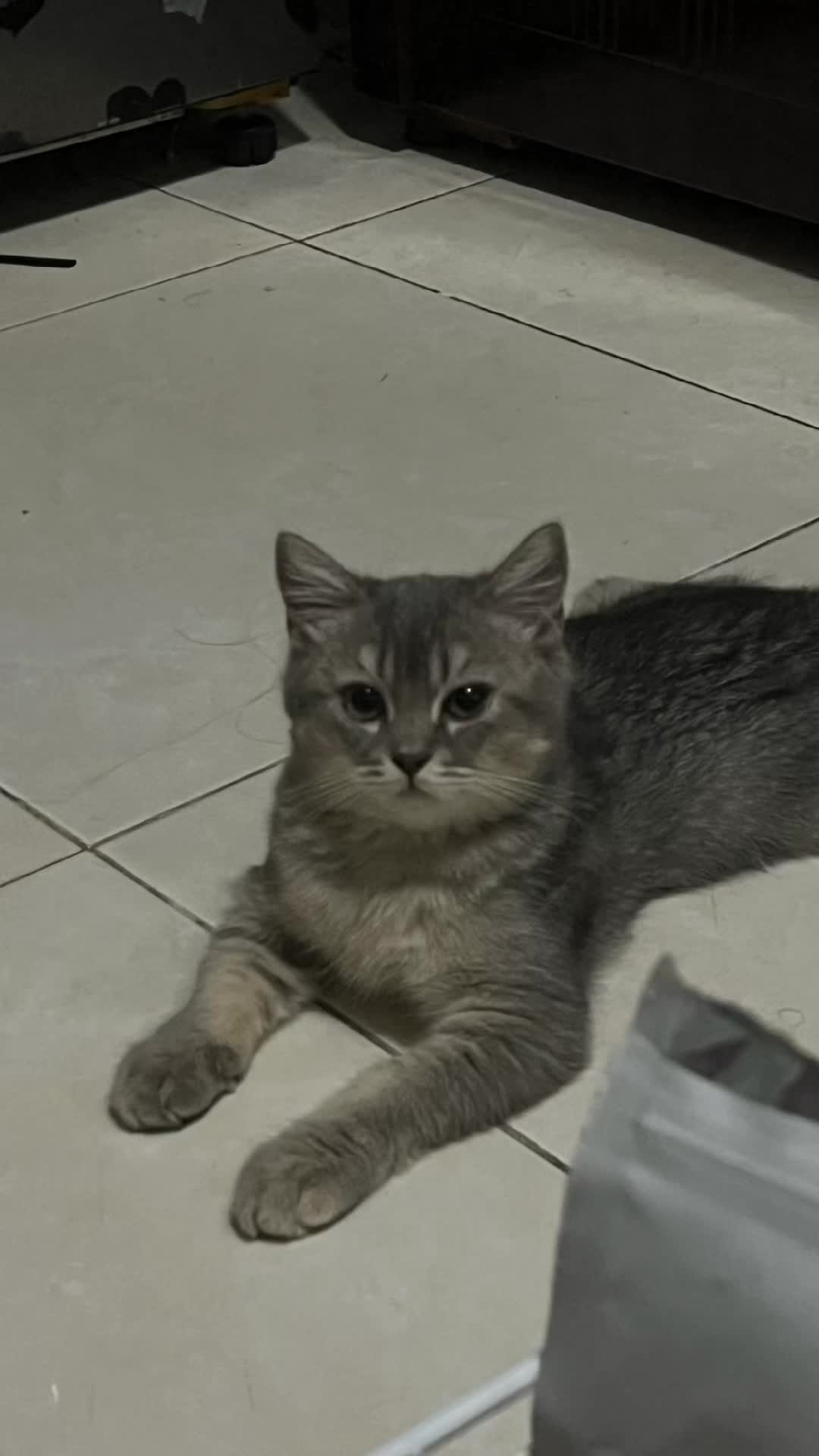 @CÔNG NGHỆ MỚI