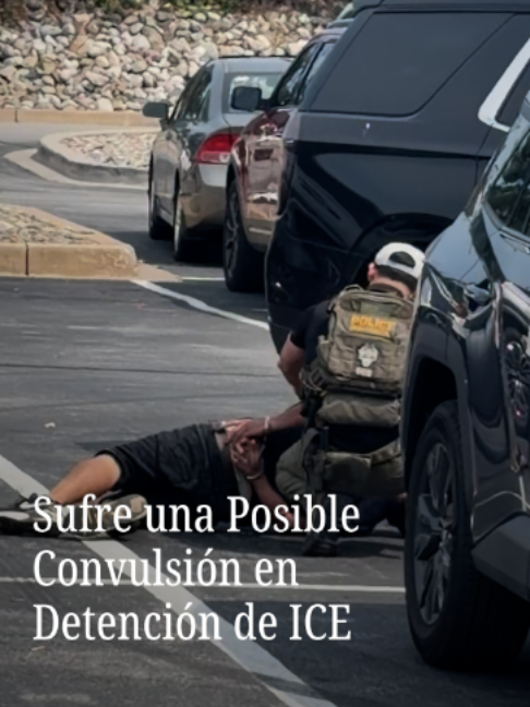 @N+ UNIVISION