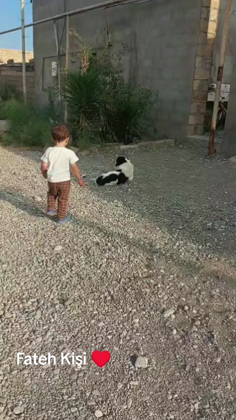 @Anar_Əliyev