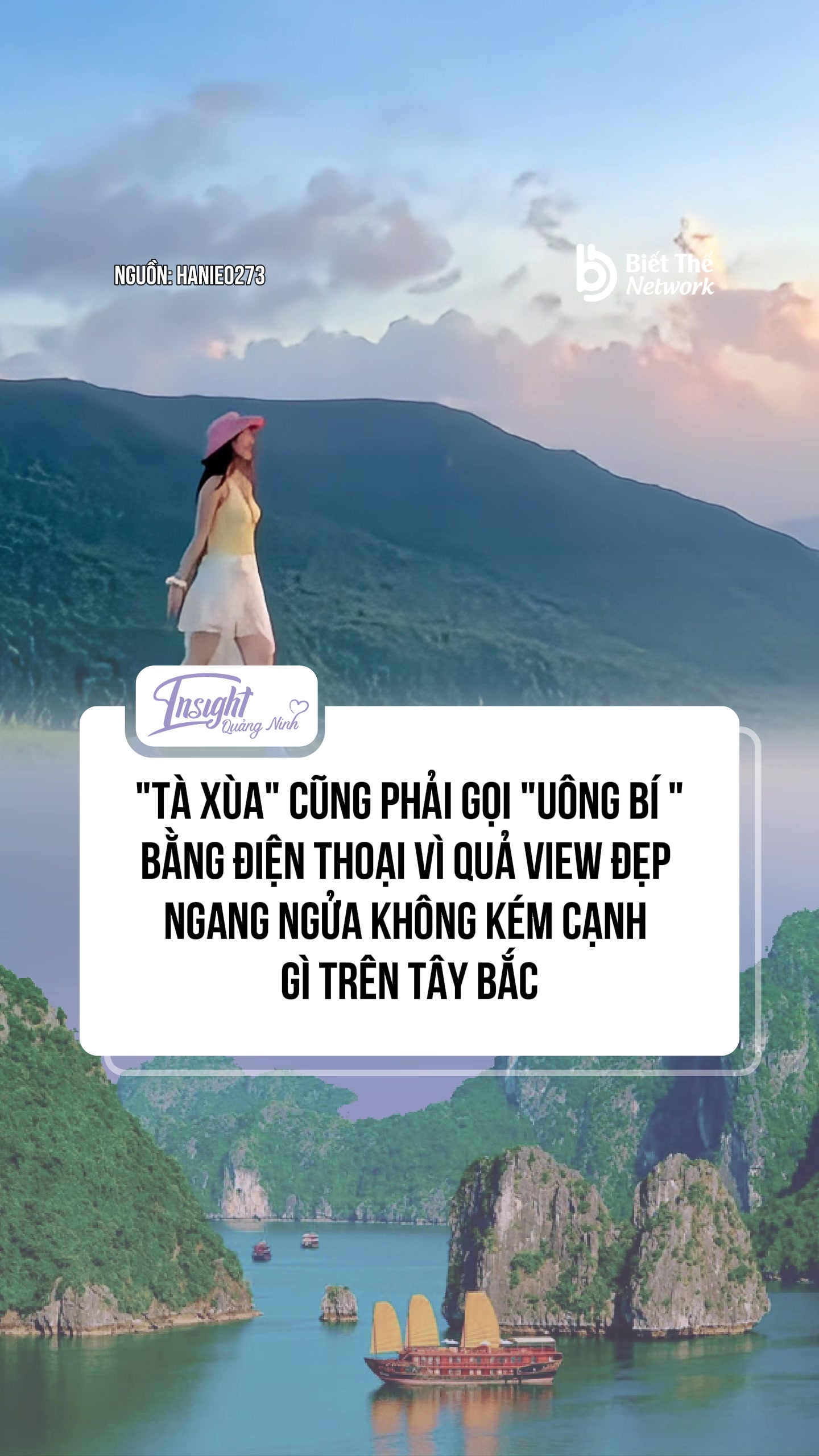 @Insight Quảng Ninh