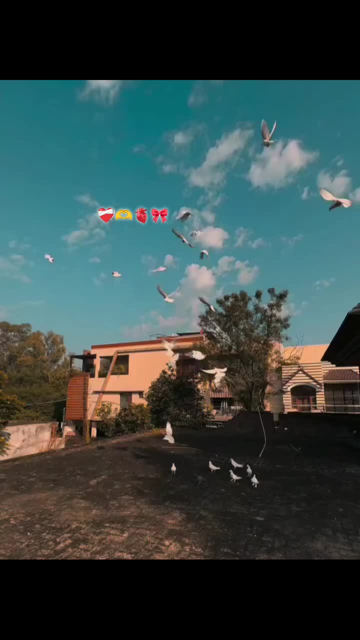 @ⒶⓌⓁⒶⒹ