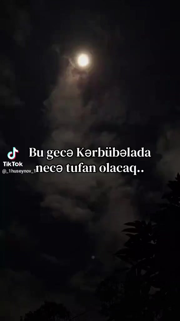 @🦂Şəhrizad🦂