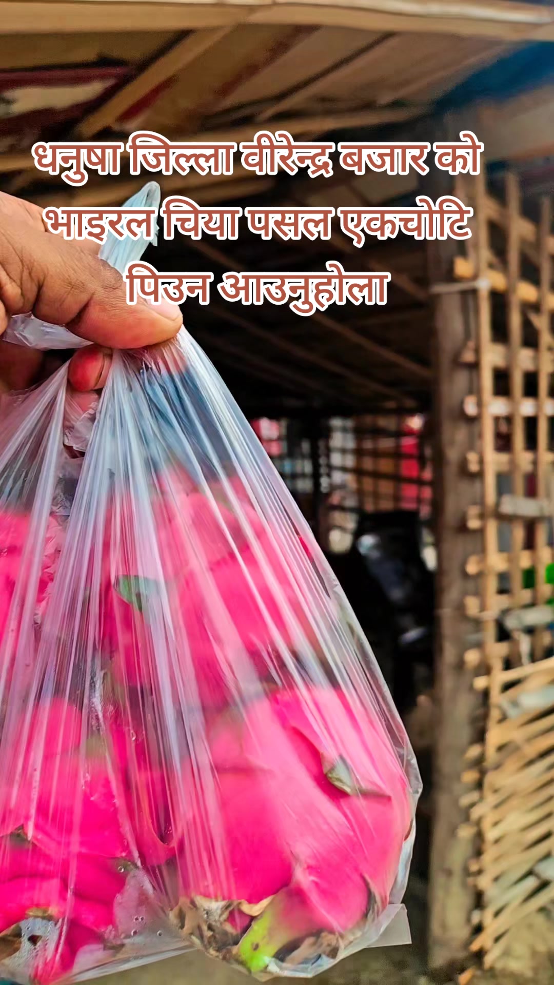 @🙏NARESH SAH KALWAR🇳🇵
