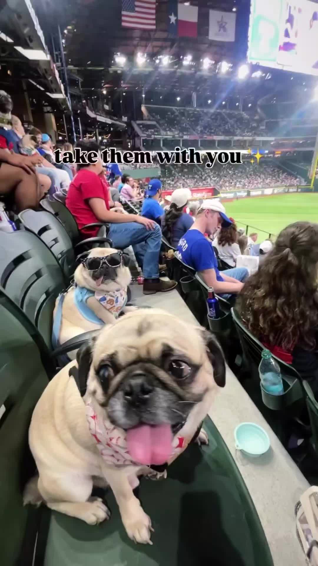 @Idkanymoreman
