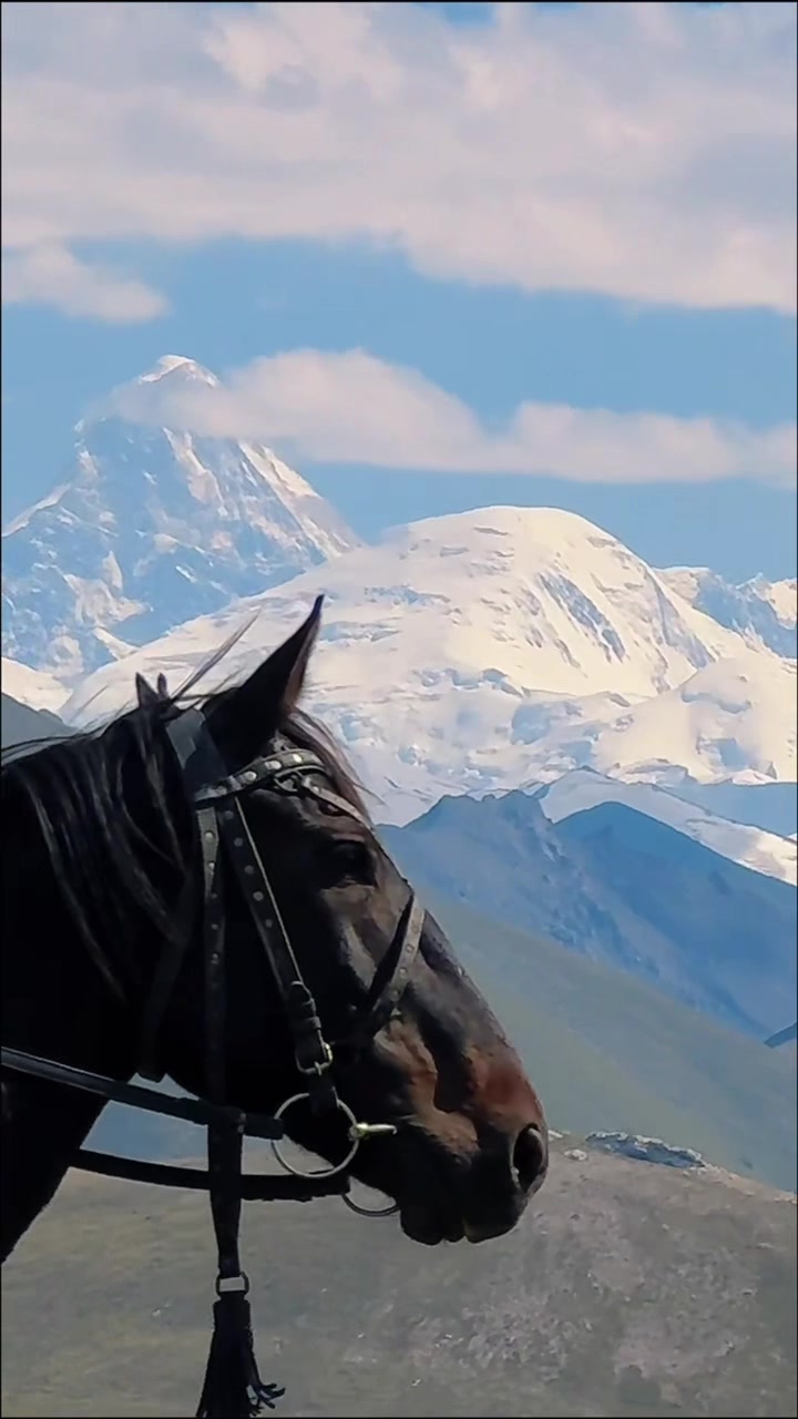 @Alimbekov Zhiger Nussipkhanuly