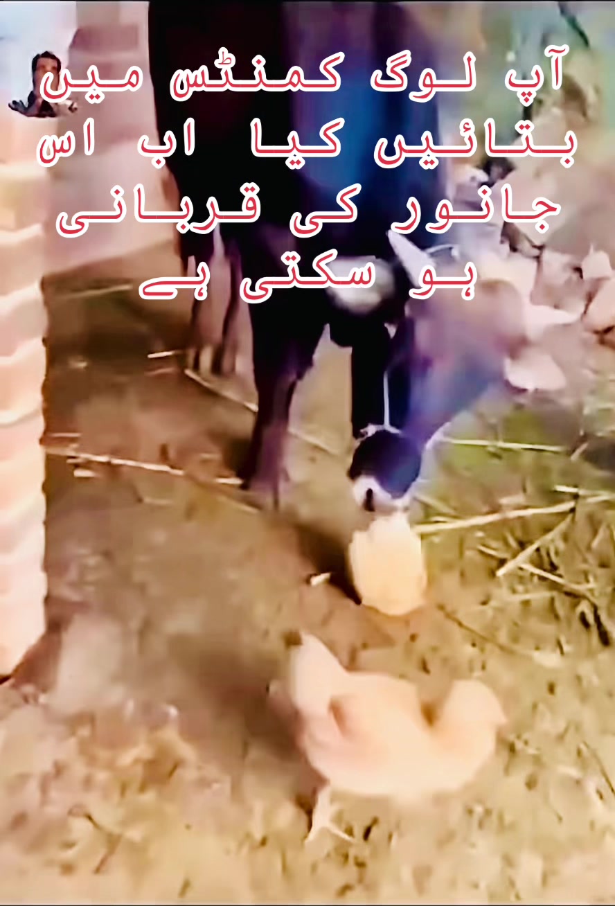 @Bala khan