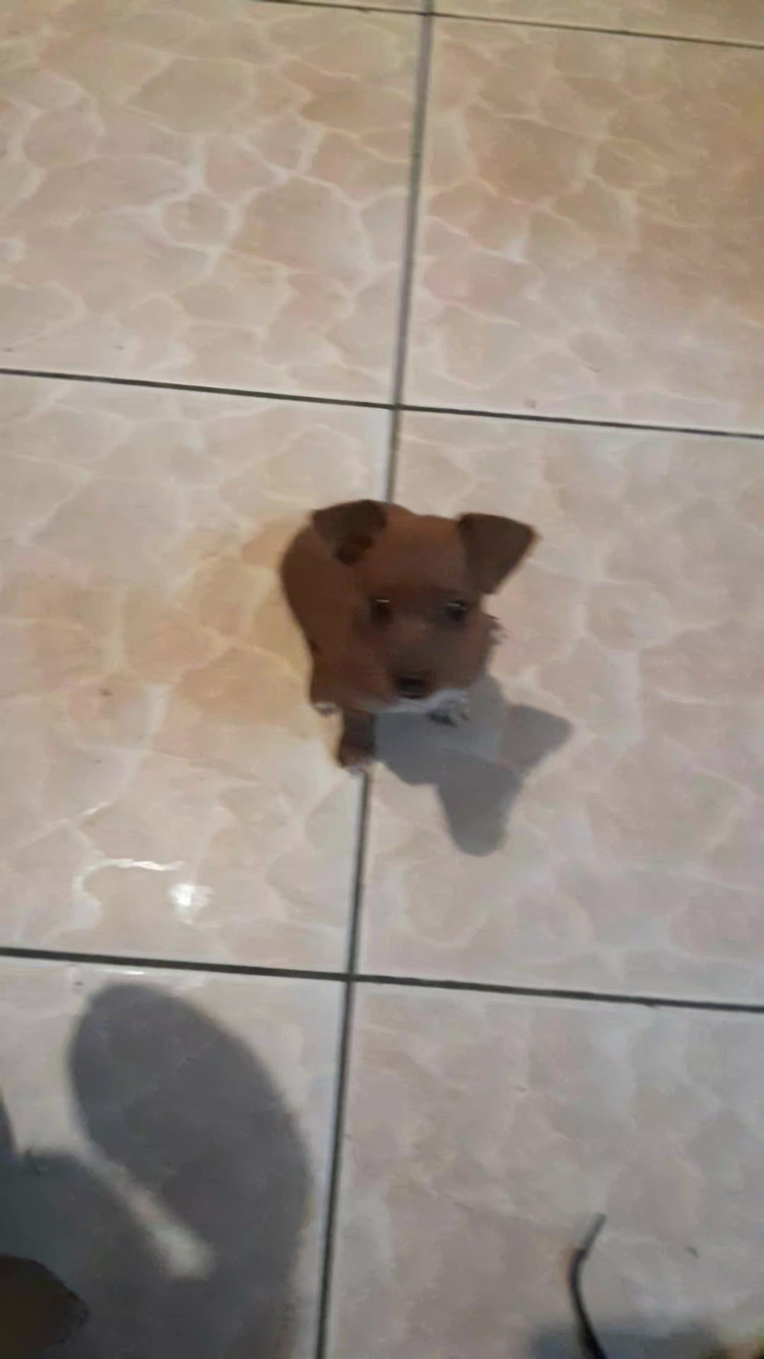 @THL 🤍