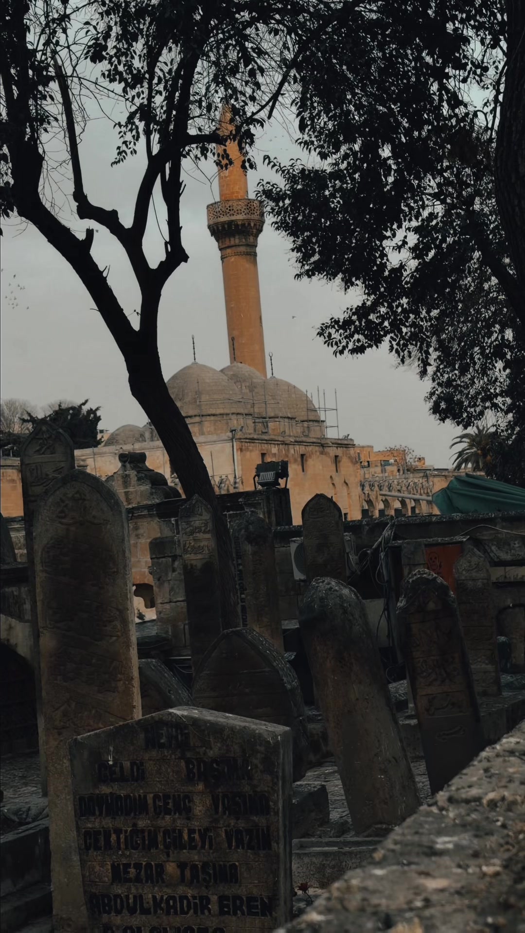 @Eşref Arıkan