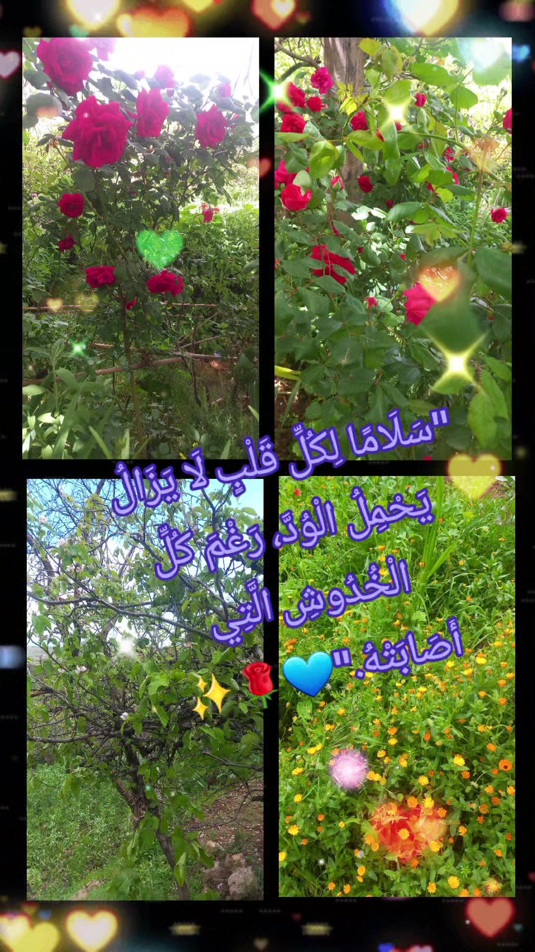 @꧁💞🎶Ř&Atilde;Ŵ&Atilde;Ň💞🎶꧂
