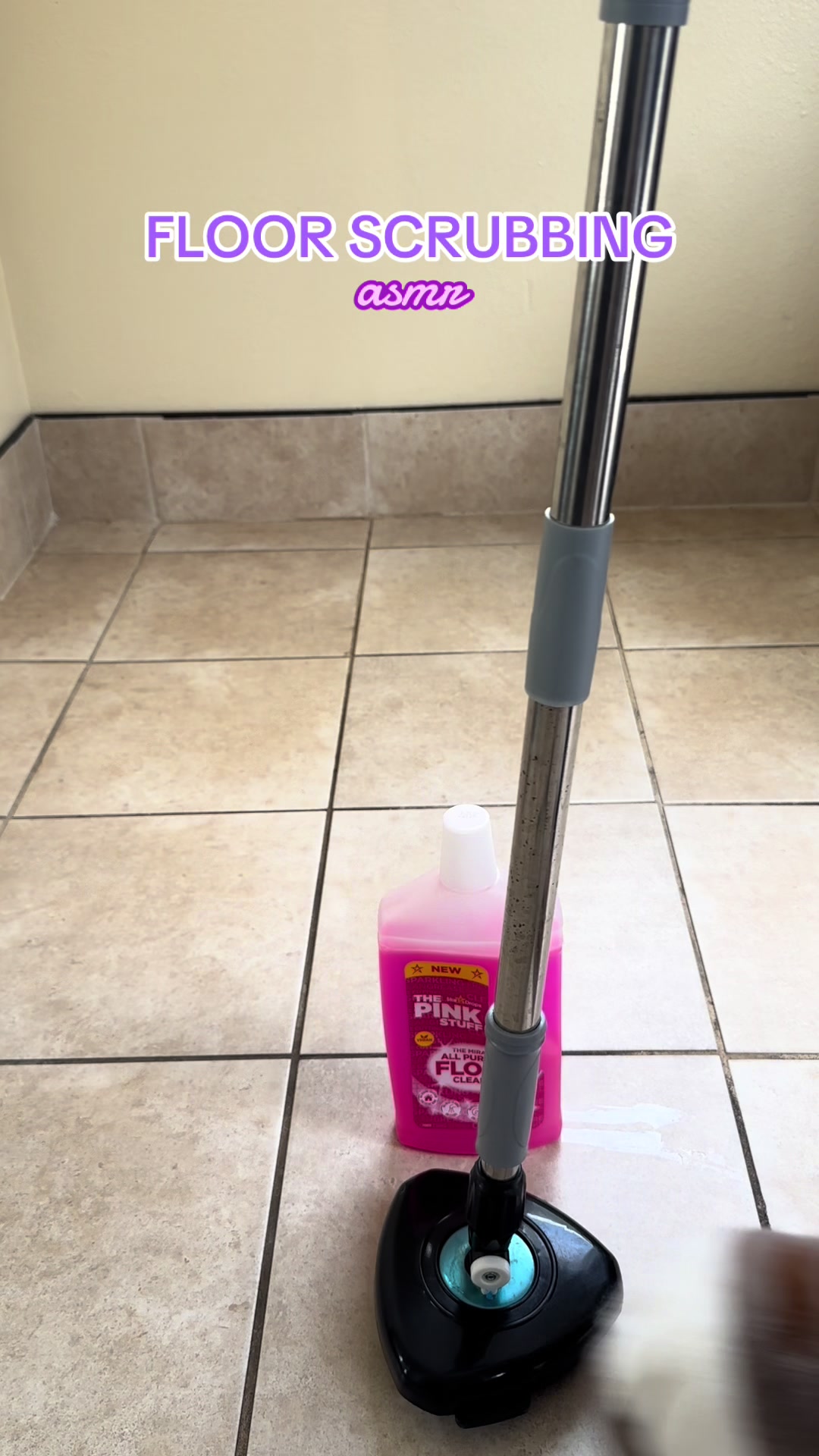 @SueCleansIt