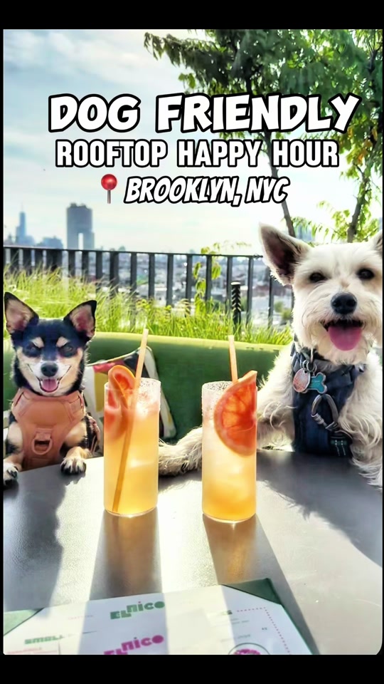 @nycdogadventures