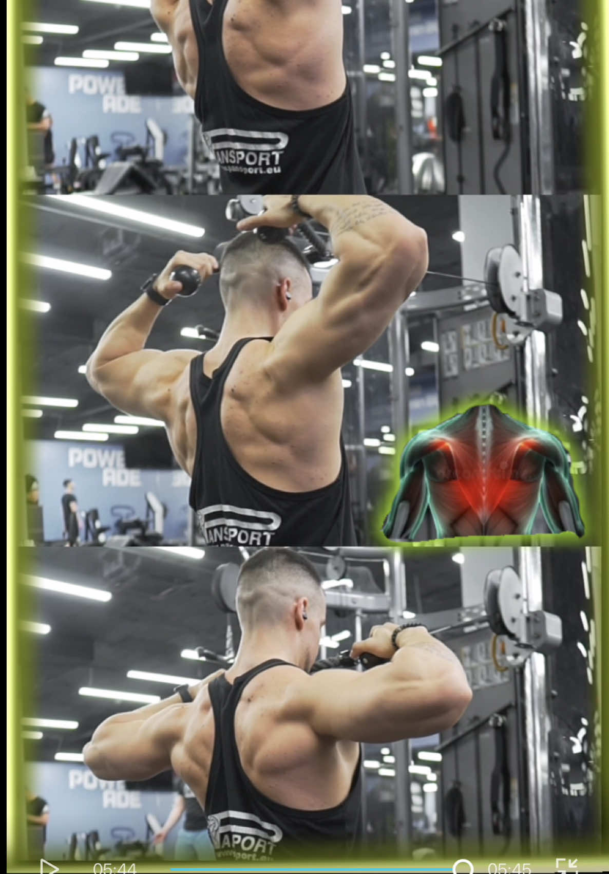 @Srdjan Mitić l Gym Saveti