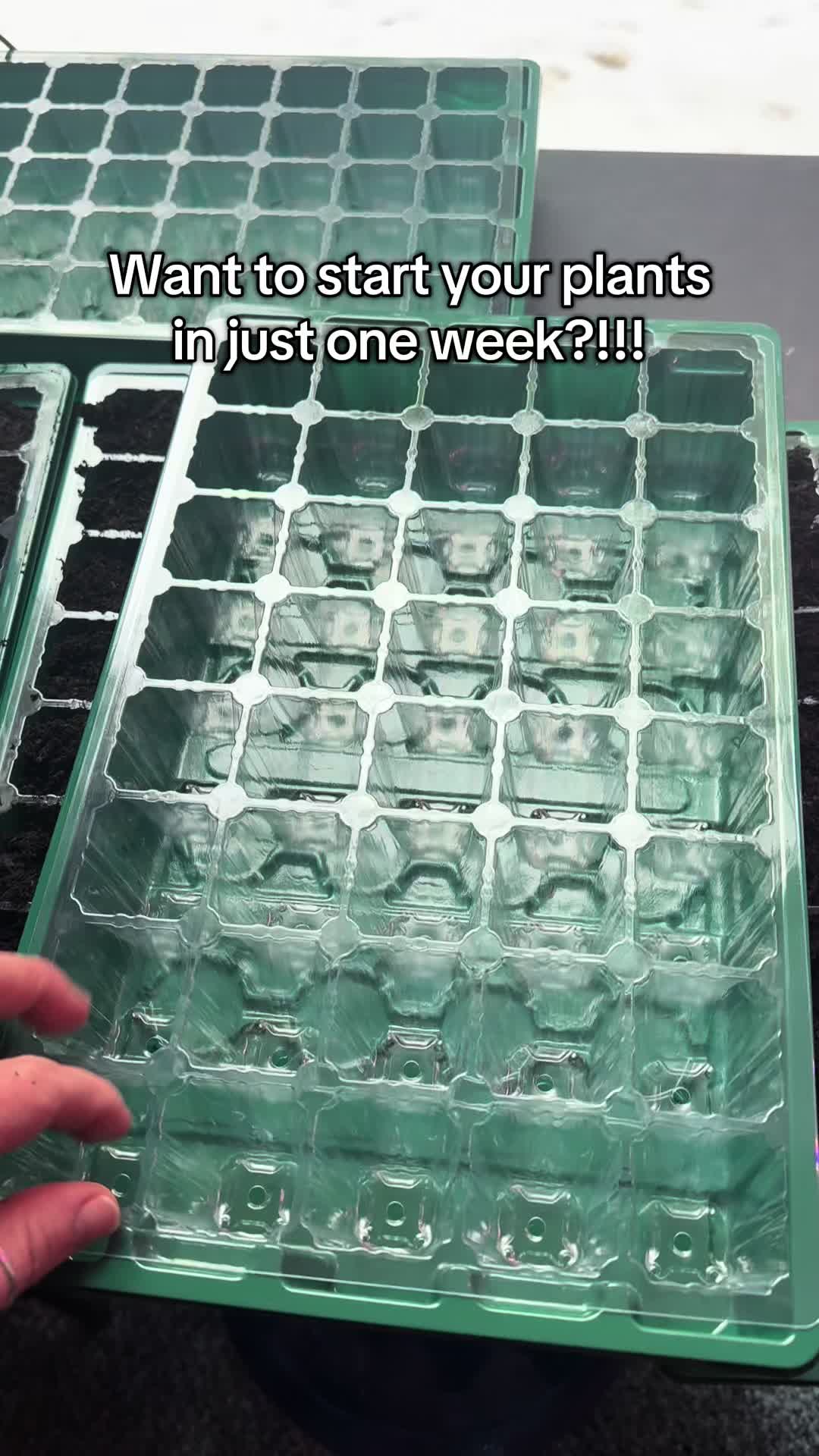 @vanessaunfiltered85