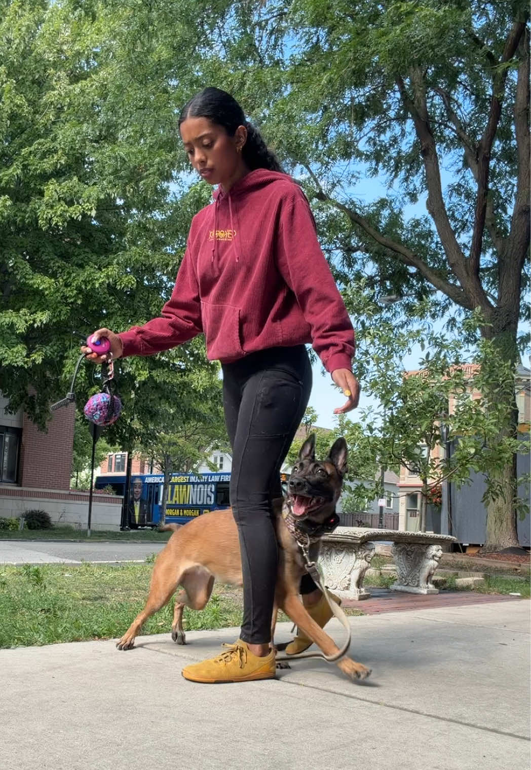 @dogstrainjen