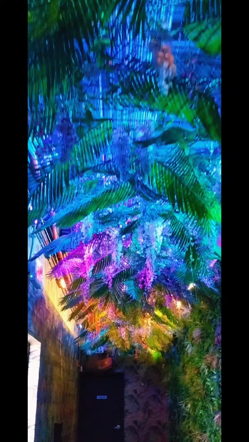 @โ๐๐ง๐๐ฃ