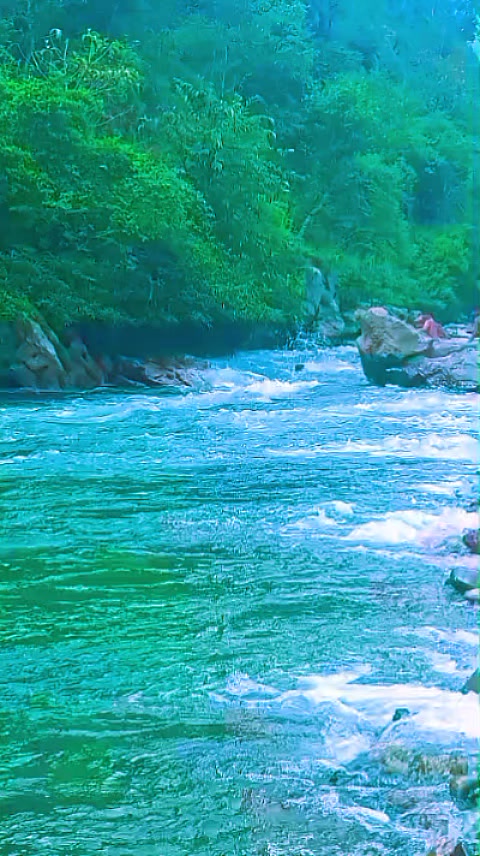 @Sanju Dhakal
