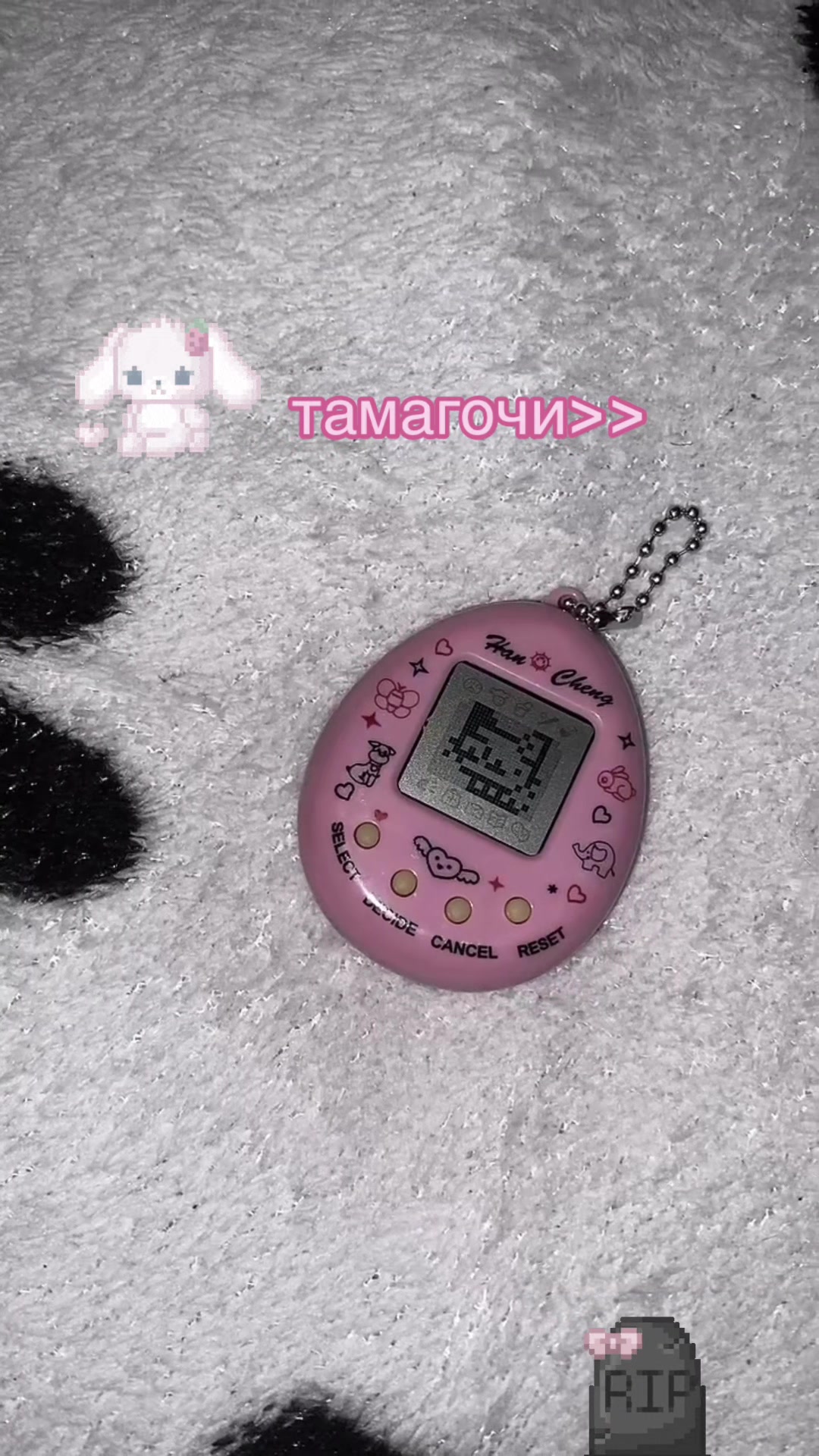 @m3ll 🐾