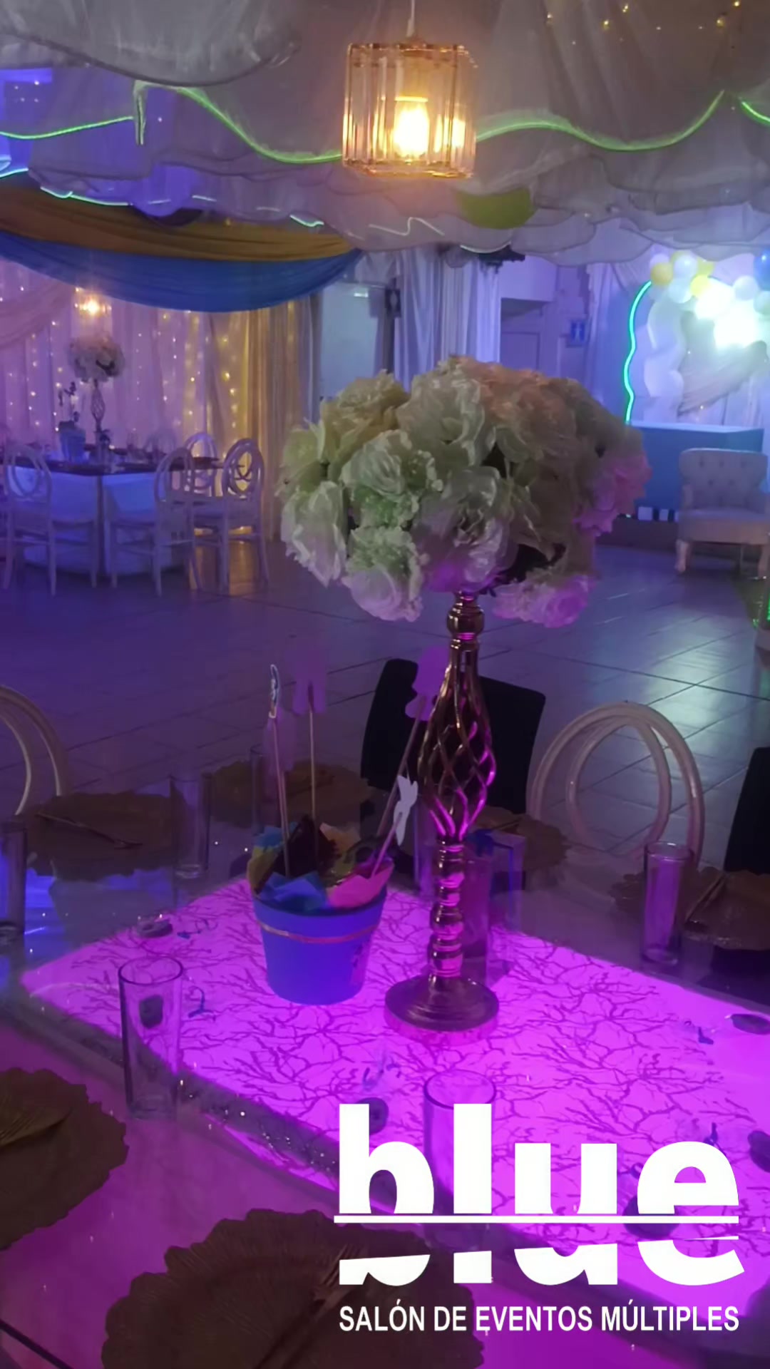 @Roly Decoraciónes