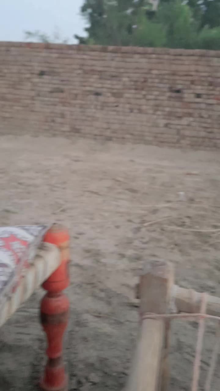 @BiLLA_Mehar253