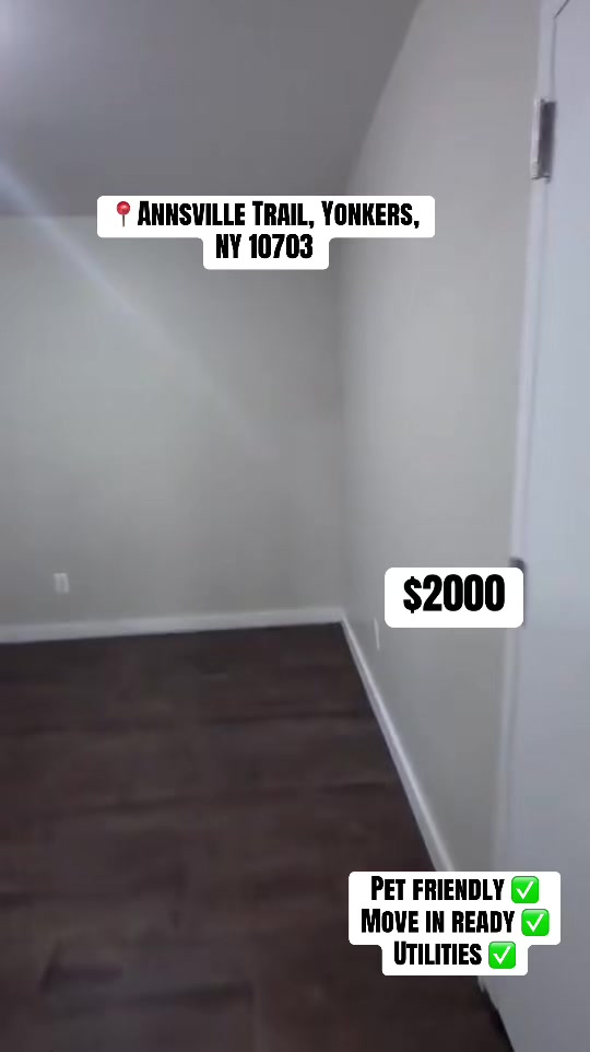 @Daily Rental Finds