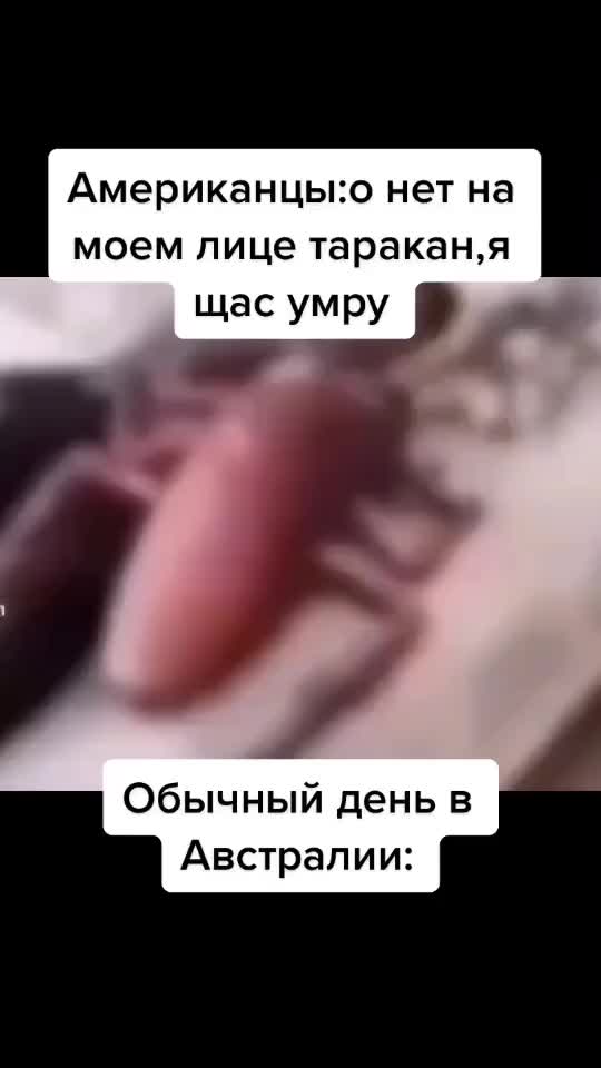 @𒉭Nikitka_228pro𒉭