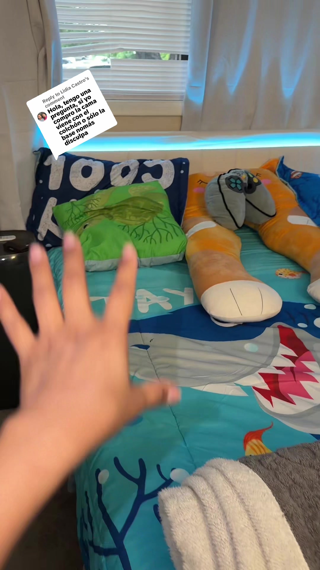 @𝓙𝓪𝓷𝓲𝓻𝔂 𝓑𝓪𝓻𝓻𝓮𝓻𝓪