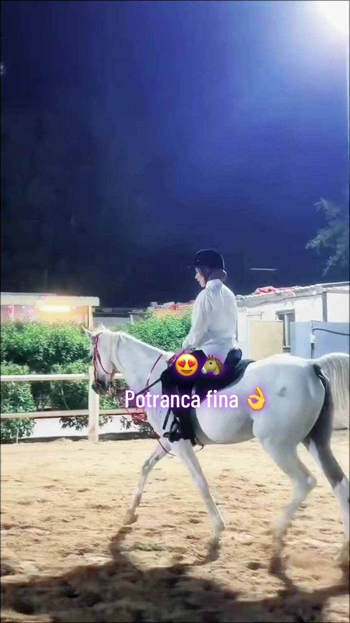 @Carolina laribii 💜👑🇺🇸